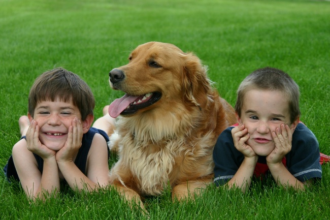 7. Собака укрепляет семью! дети, домашние животные, собака, собаки