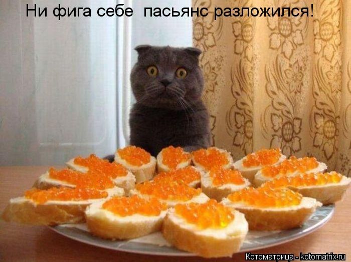   ... !