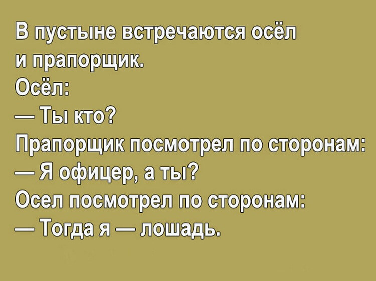 10 классных анекдотов для шикарного настроения на весь день!