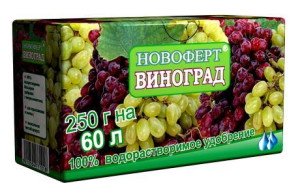 Полив винограда летом – особенности процесса + Видео Полив винограда летом – особенности процесса + Видео