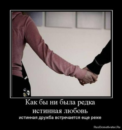 Все мы в чем то сумасшедшие цитаты Все мы в чем то сумасшедшие цитаты