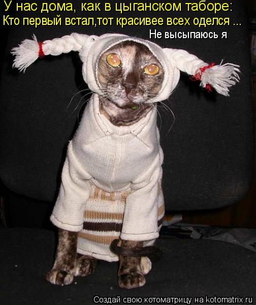 Ура!! Пятница - котоматрица!!! Ура!! Пятница - котоматрица!!!