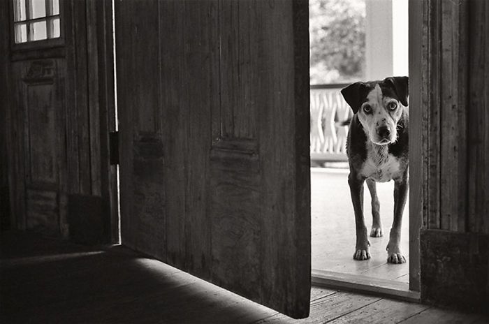 Wally, 14 Years Old, Ferrida, Louisiana