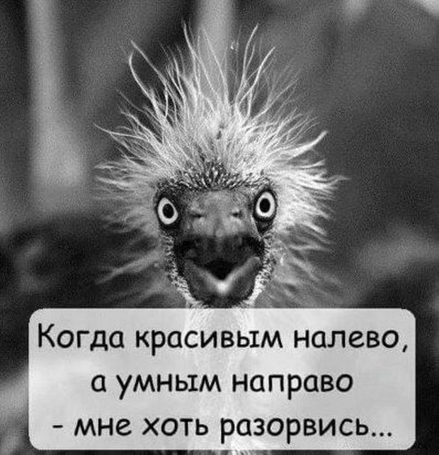 Если внимательно понаблюдать за сотрудниками Макдональдса, можно сразу заметить...