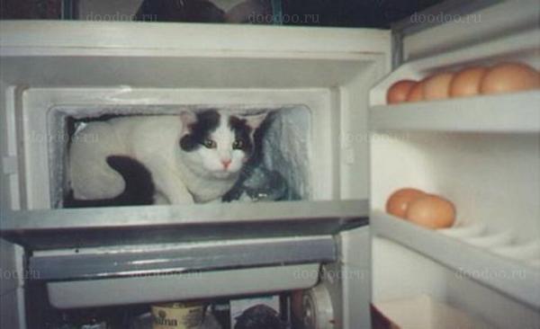 ��� � ������������