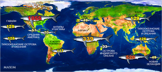 На рисунке цифрами отмечены океаны в которых водятся акулы