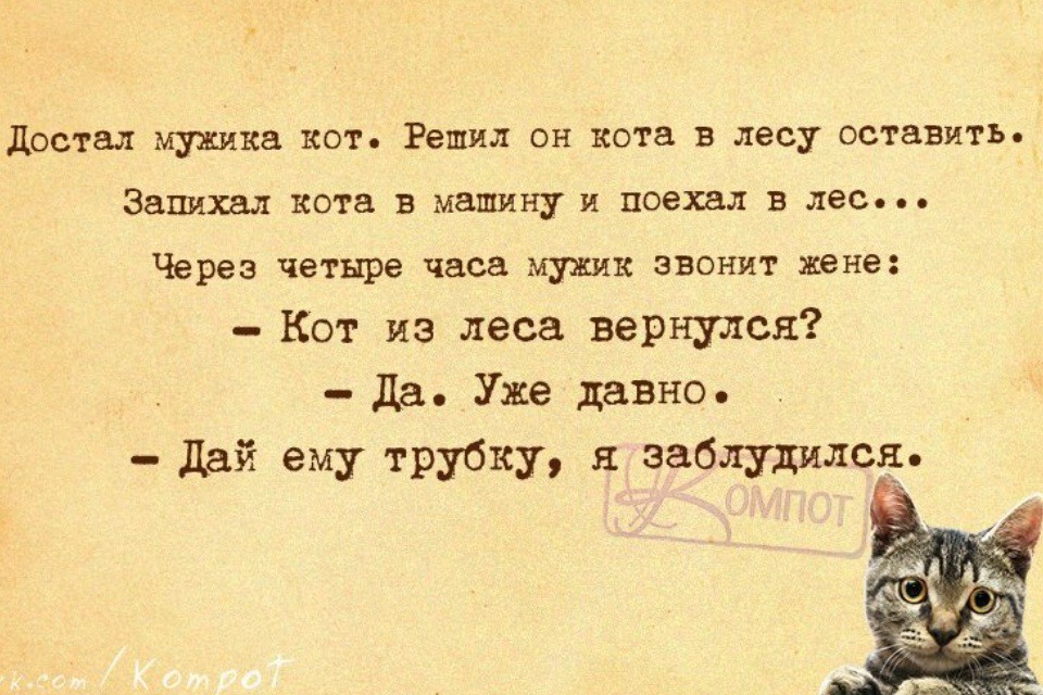 Жизненные &quot;компотные&quot; открытки. "компот", открытки, прикол, юмор