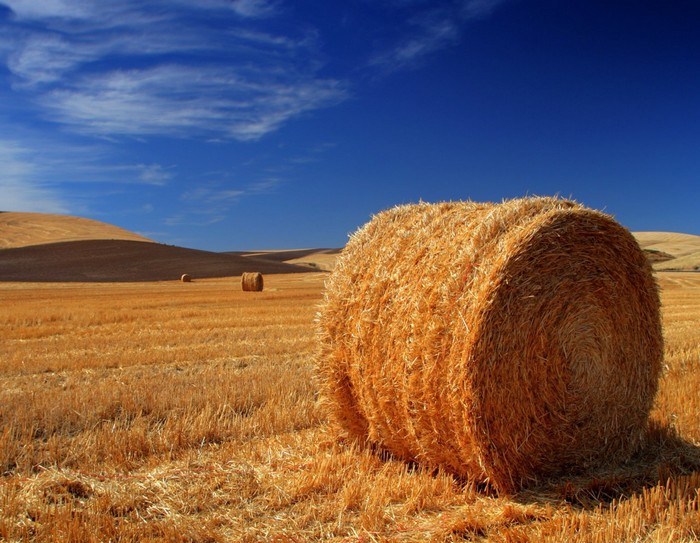 Короткие истории о жизни