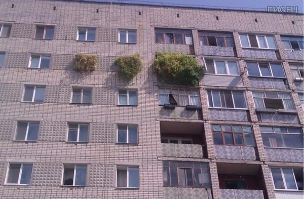 Тот самый случай, когда мечтаешь о частном доме, но пока живёшь в квартире Тот самый случай, когда мечтаешь о частном доме, но пока живёшь в квартире