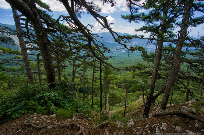 Пейзажи Крыма