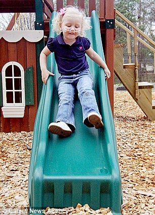 Мистер Гиббс – спасительный пес