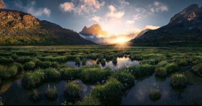 Зелёная земля. Автор: Max Rive. Зелёная земля. Автор: Max Rive.