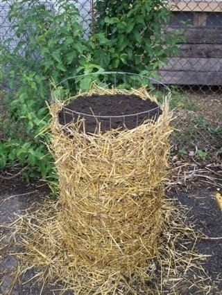 Грядка-башня для картофеля просто находка для ленивых дачников Грядка-башня для картофеля просто находка для ленивых дачников