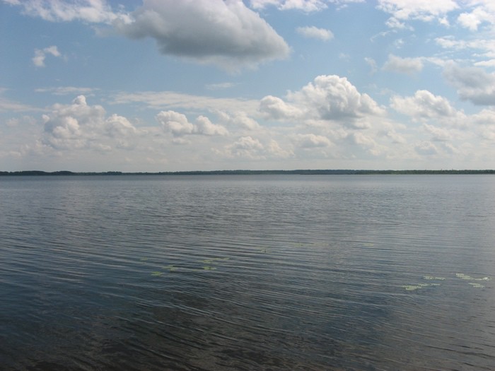 Озеро Селигер озеро, россия, селигер
