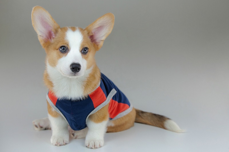 ������ ����� �����-�����. ����