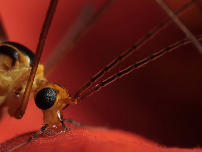 ��������������� John Cogan