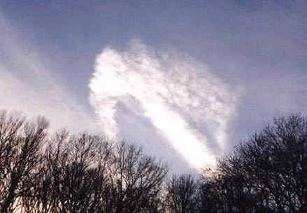 Ангел-хранитель - 2