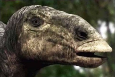 Ученые обнаружили новый подвид динозавров на Аляске