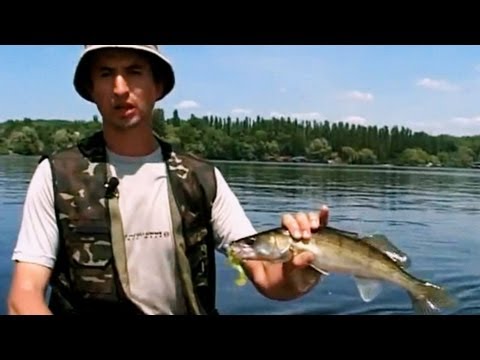 рыбачьте с нами на судака видео рыбачьте с нами на судака видео