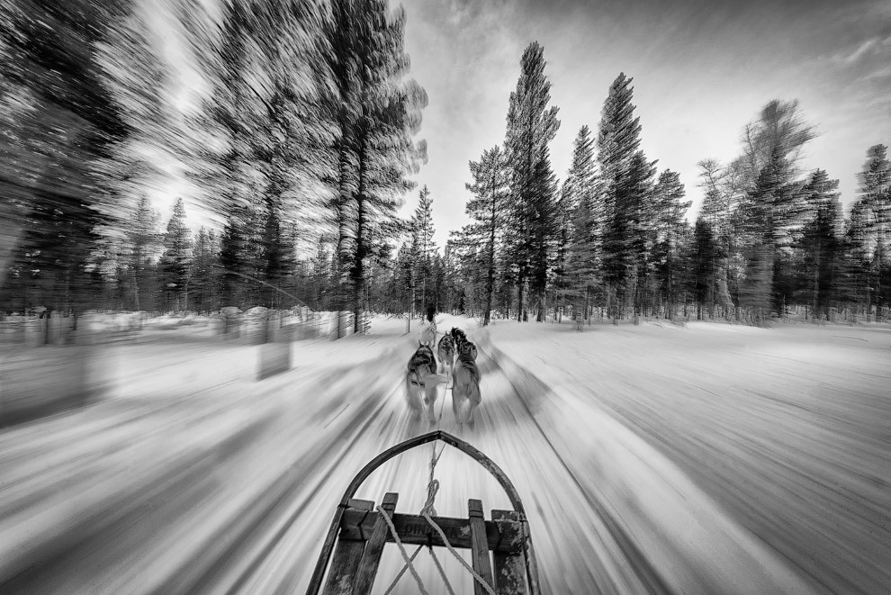 Собачья упряжка в Кируна, Швеция.  national geographic, конкурс, фотография, фотоконкурс