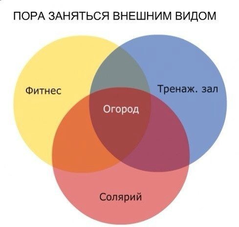 Вот оно какое наше лето!... Вот оно какое наше лето!...