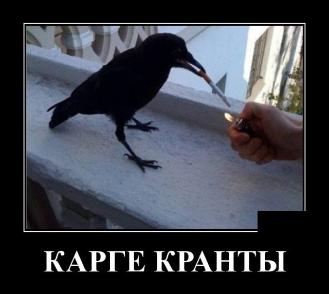 Демотиваторы Демотиваторы
