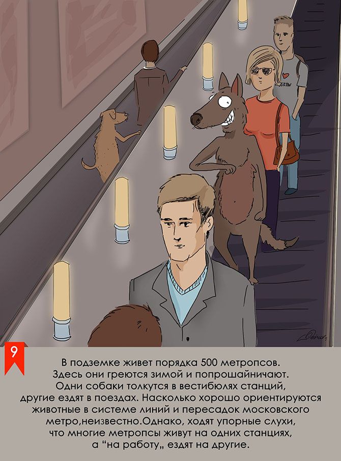 Bird Born: «Московское метро: мифы, легенды, факты»