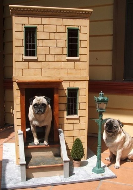 Оригинальные будки для собак (22 фотографии)