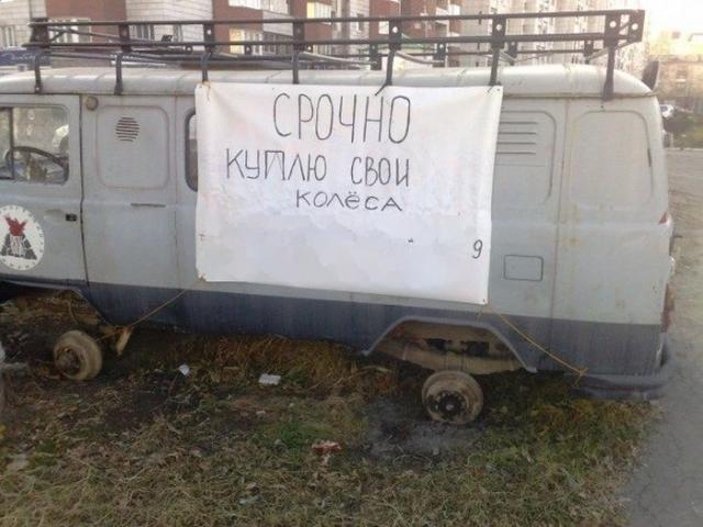 Подборка прикольных фоток (50 фото) Подборка прикольных фоток (50 фото)