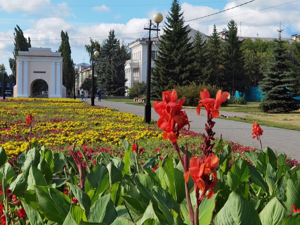 Кто такие “кремлеботы”. Я одного очень хорошо знаю