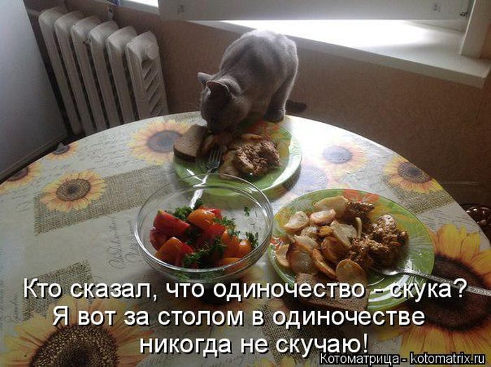 Лучшие котоматрицы недели