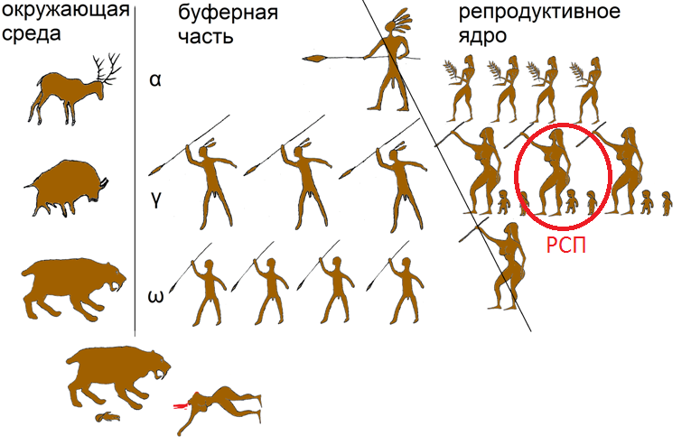 иерархия стада2