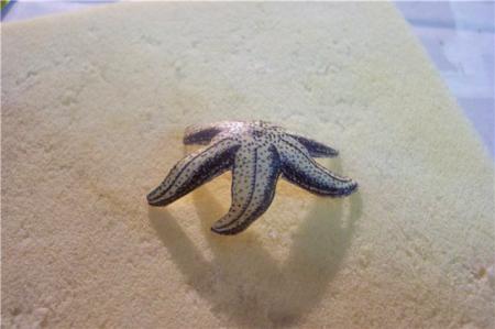 7.jpg (450×299, 18 КБ) 7.jpg