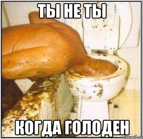 Ты не ты когда голоден! Ты не ты когда голоден, позитив, прикол, юмор
