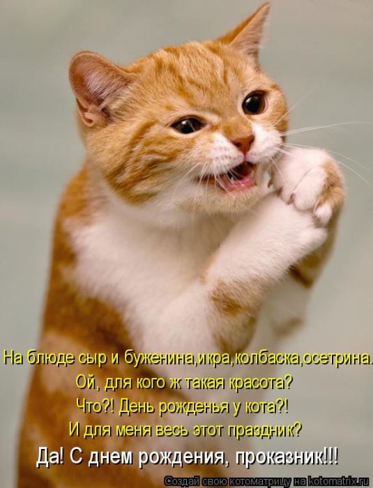 Котоматрицы великолепные, каждая с кусочком тепла, позитива и улыбкой! Котоматрицы великолепные, каждая с кусочком тепла, позитива и улыбкой!