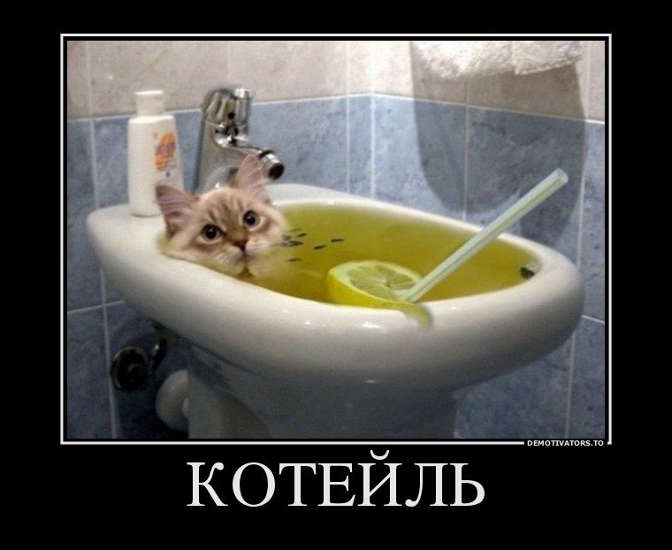   Ѩ...