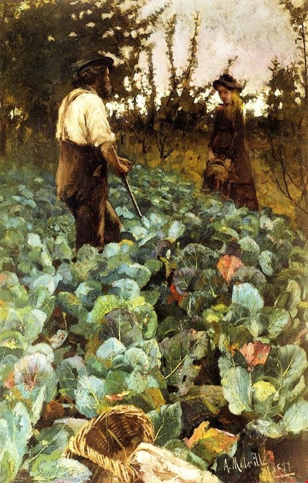 A-Cabbage-Garden (446x700, 138Kb)