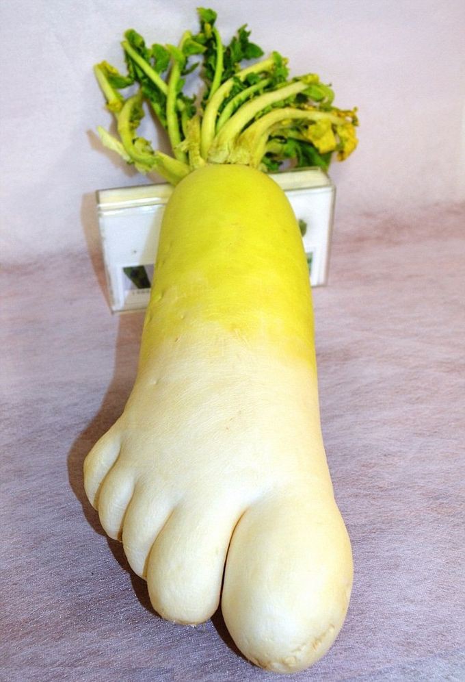 6. Редиска в форме ноги овощи, фрукиы