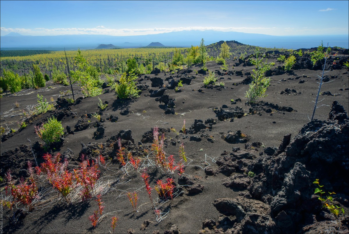 KamchatkaDreaming13 Kamchatka Dreaming — большое камчатское путешествие