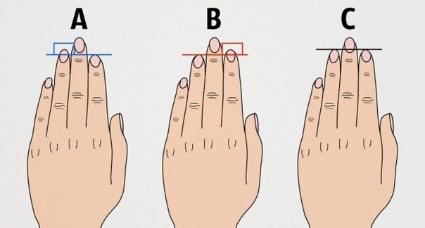 Что длина пальцев руки говорит о вашем характере