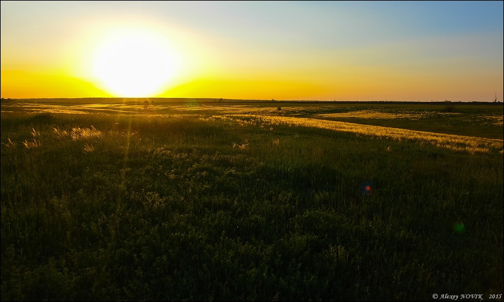 20150519-DSC06716.jpg 20150519-DSC06716.jpg