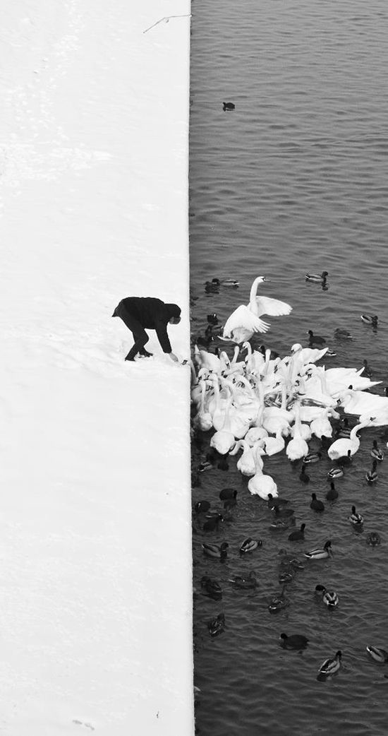 Свет и тени Свет и тень, фотография