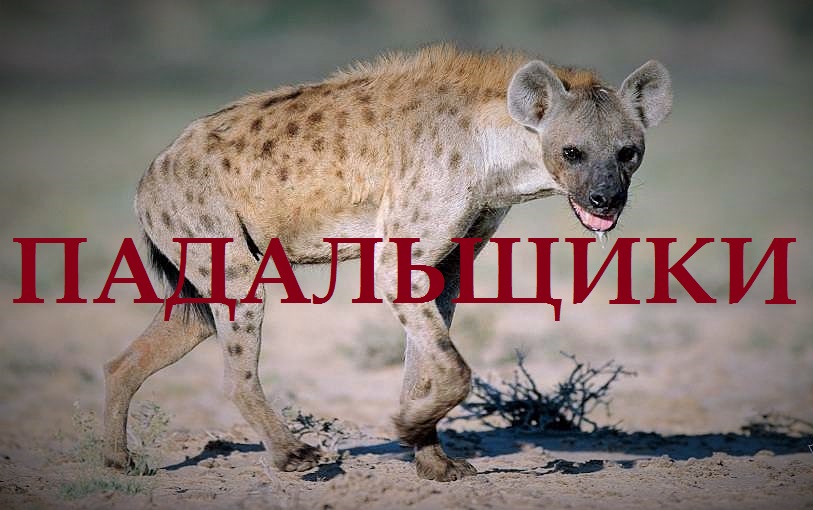 Павел Раста: Падальщики