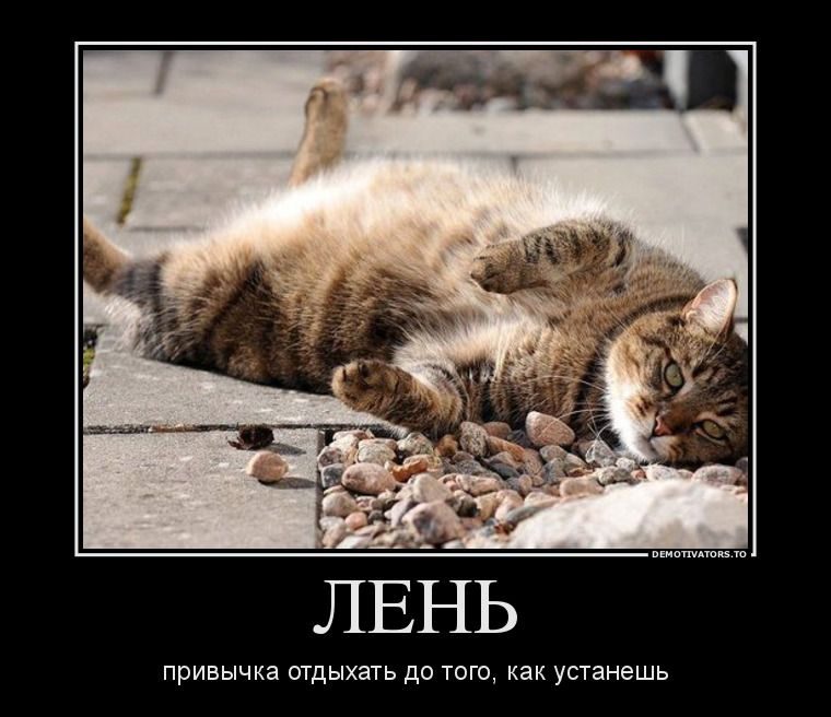 ДЕМОТИВАТОРЫ. Ну чтоб не скучно было на работе работать работу. ДЕМОТИВАТОРЫ. Ну чтоб не скучно было на работе работать работу.