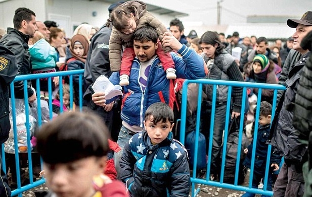 Обезумевшие мигранты вешаются на деревьях в центре Афин