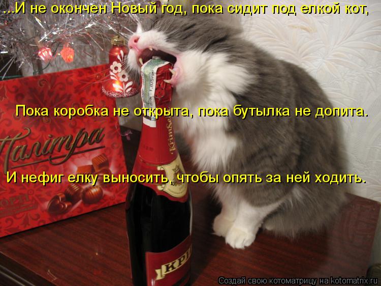 Котоматрица: ...И не окончен Новый год, пока сидит под елкой кот, Пока коробка не открыта, пока бутылка не допита. И нефиг елку выносить, чтобы опять за ней 