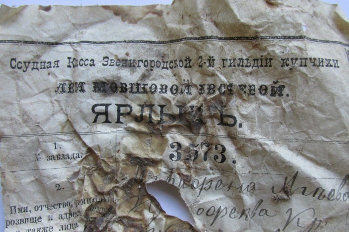 «Птичий архив» под крышей Успенского собора (48 фото)