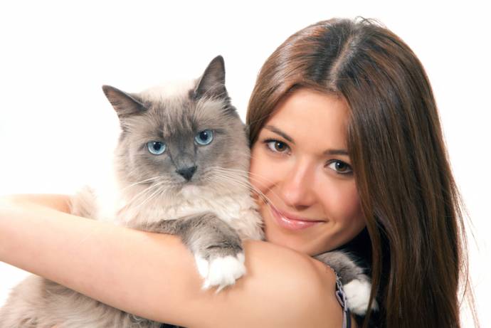 Пять доказанных наукой фактов, что кошки продлевают человеку жизнь