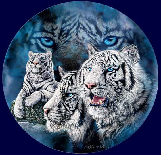 11 тигров Стивена Гарднера, загадки, картины
