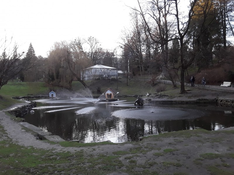 Декабрьская жара в Стрыйском парке